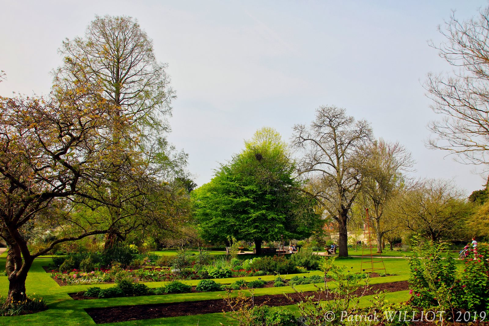 Botanic Garden